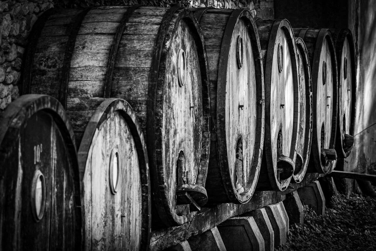 Wine Fermentation Process